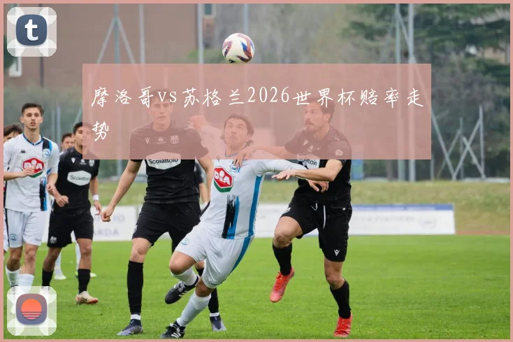 摩洛哥vs苏格兰2026世界杯赔率走势