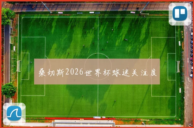 桑切斯2026世界杯球迷关注度
