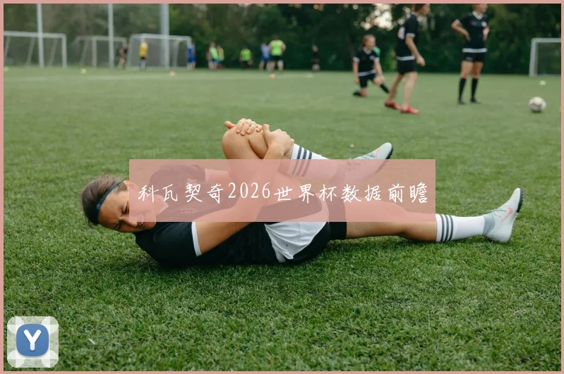 科瓦契奇2026世界杯数据前瞻
